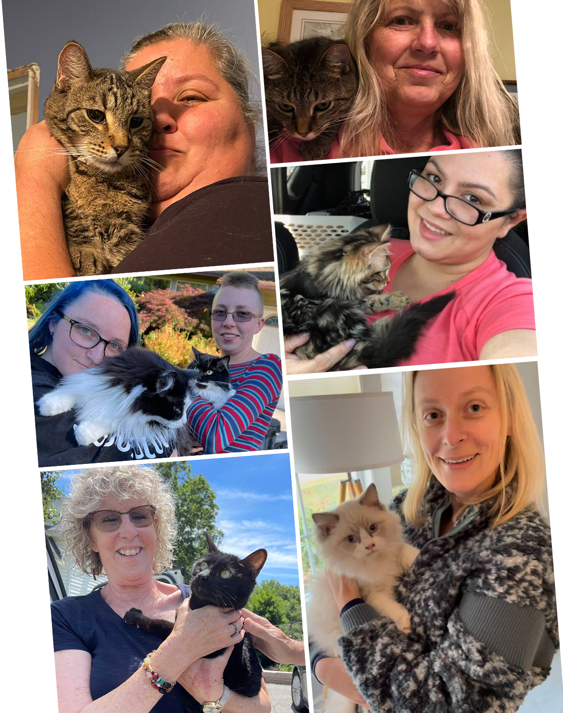 Cat arriving safely at new home via CitizenShipper transport