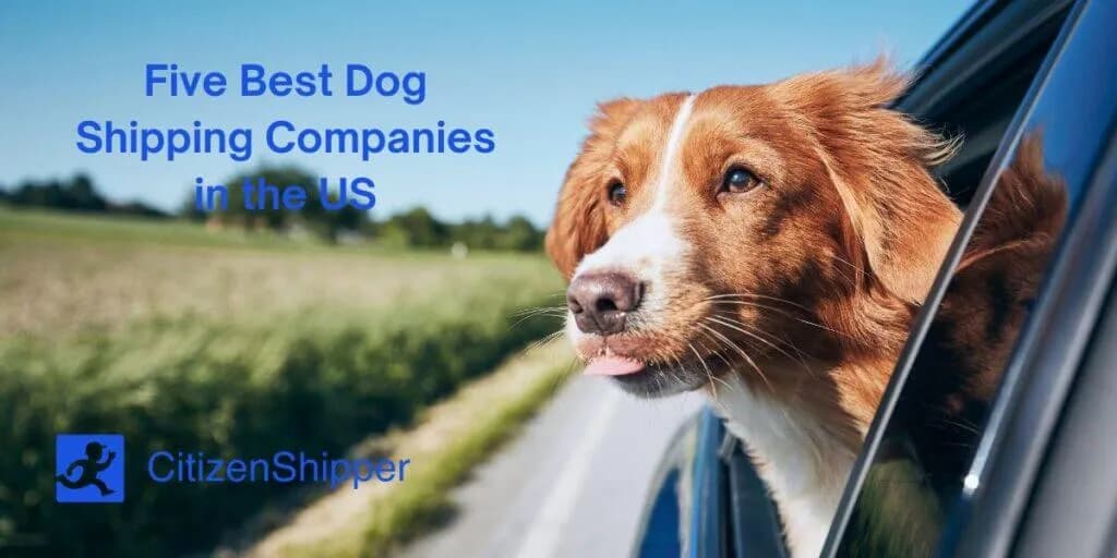 shipping companies