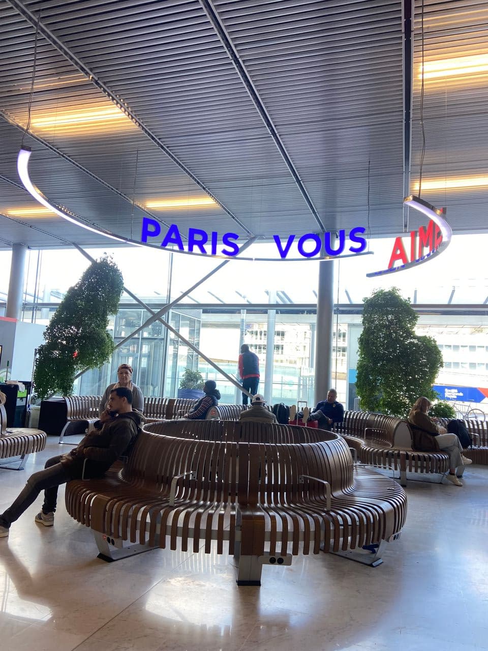 Pet travel photo 5