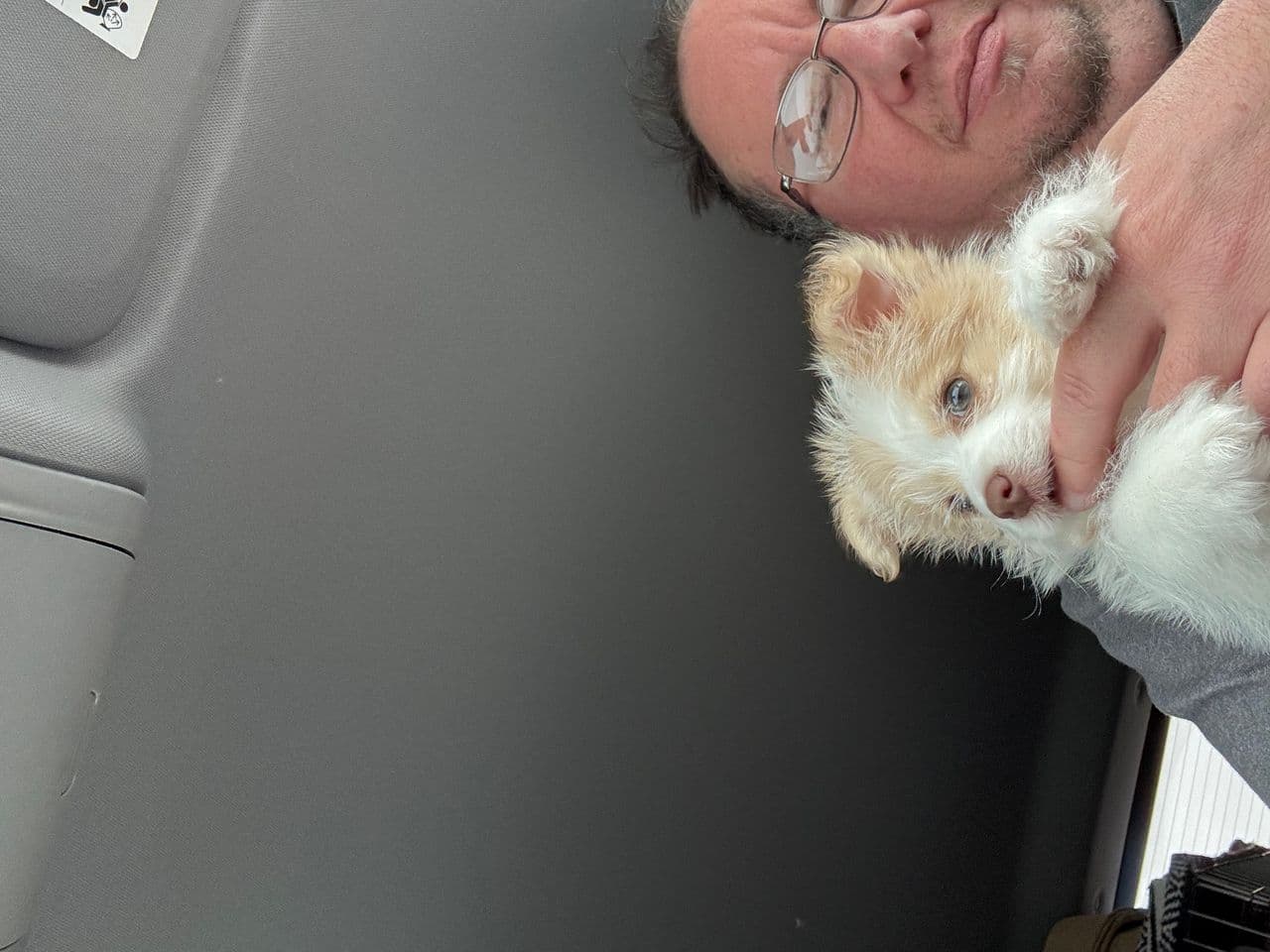 Pet travel photo 4
