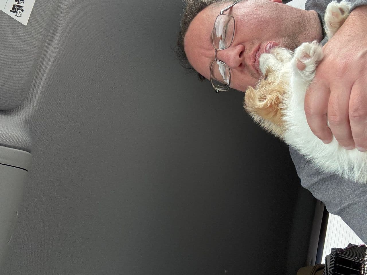 Pet travel photo 3