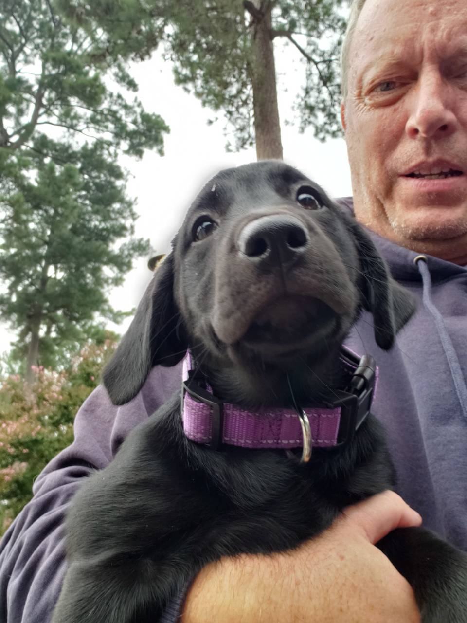 Pet travel photo 3